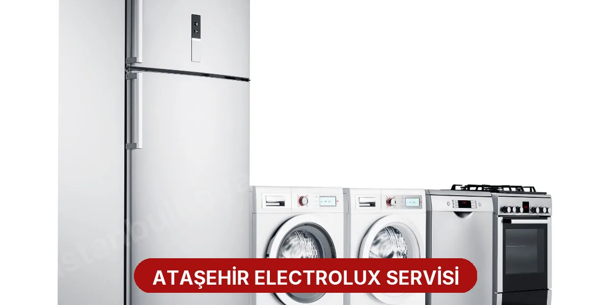 Ataşehir Electrolux Servisi