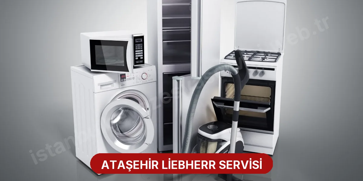 Ataşehir Liebherr Servisi