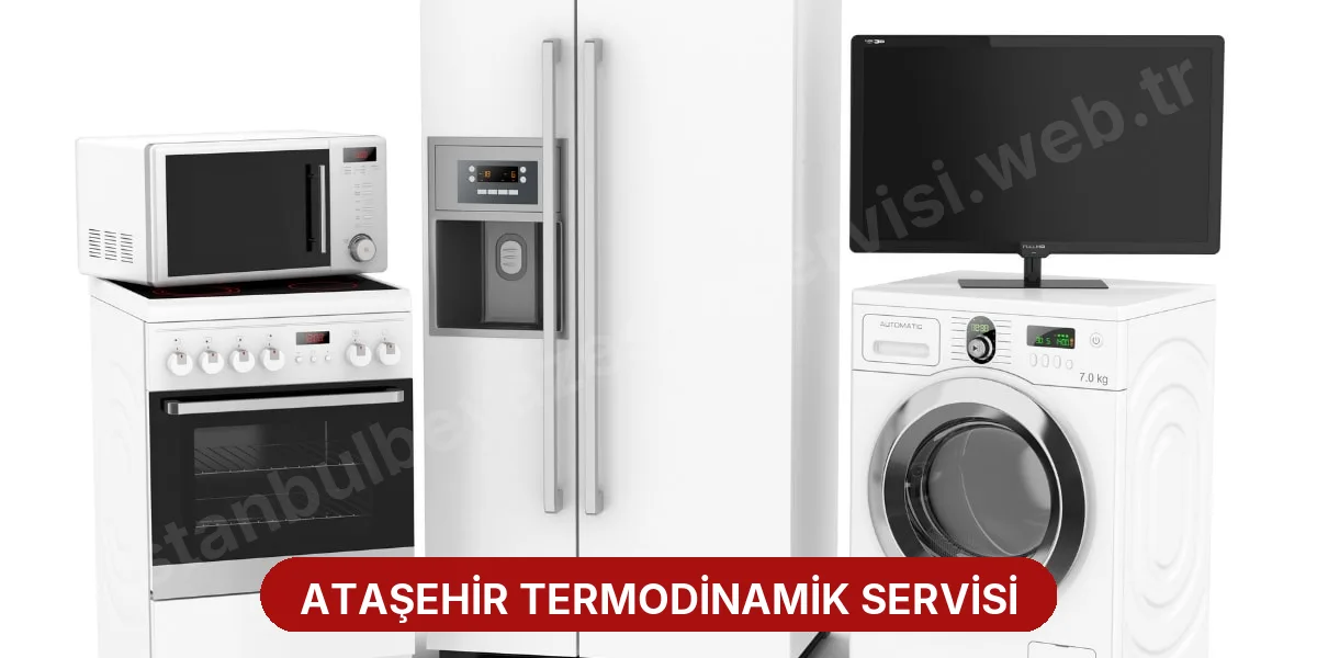 Ataşehir Termodinamik Servisi