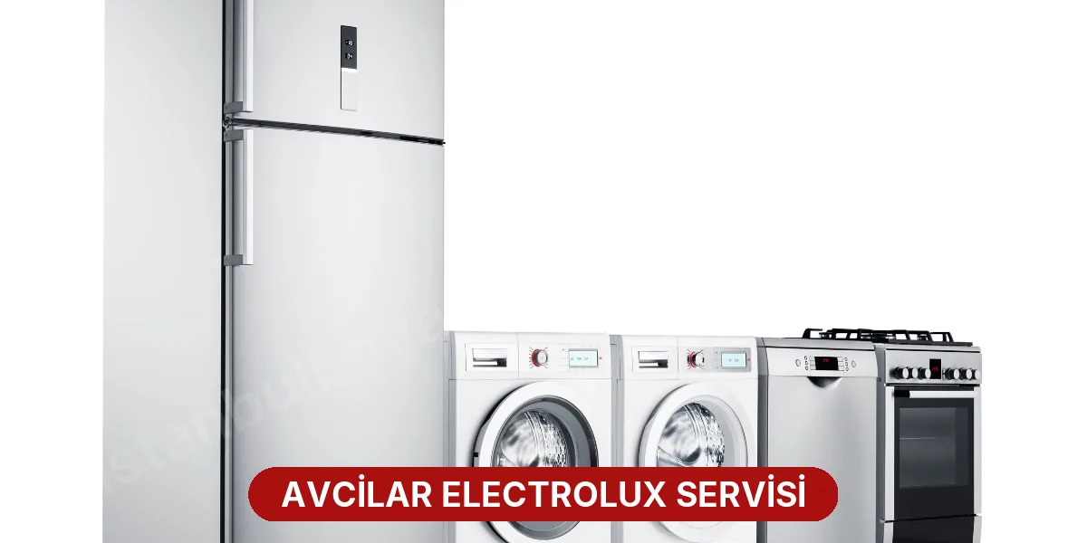 Avcilar Electrolux Servisi