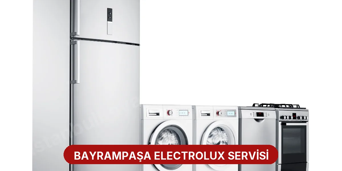 Bayrampaşa Electrolux Servisi