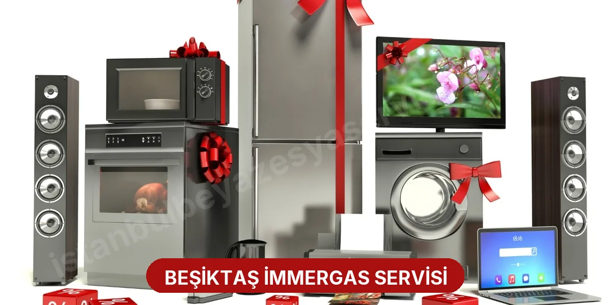 Beşiktaş İmmergas Servisi