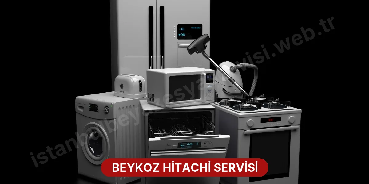 Beykoz Hitachi Servisi