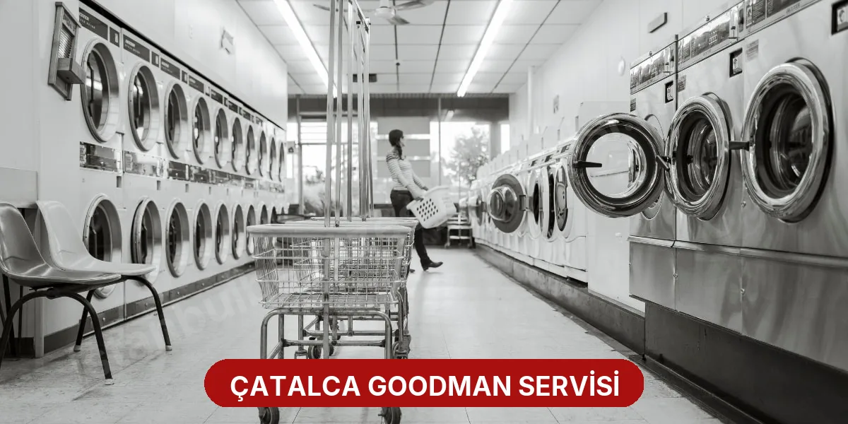 Çatalca Goodman Servisi