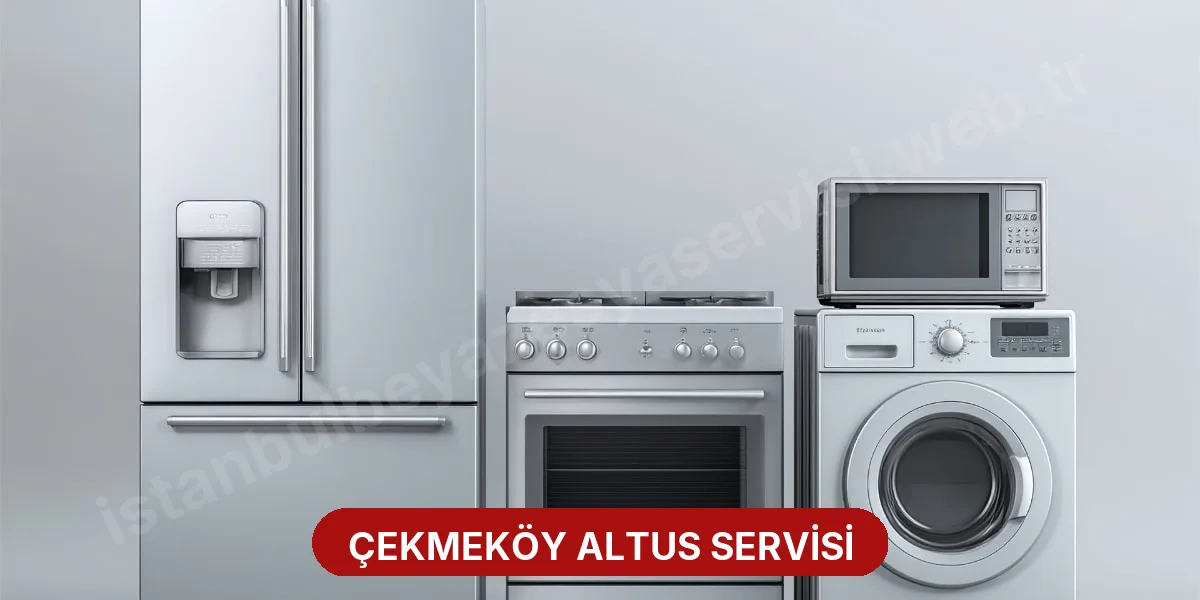 Çekmeköy Altus Servisi