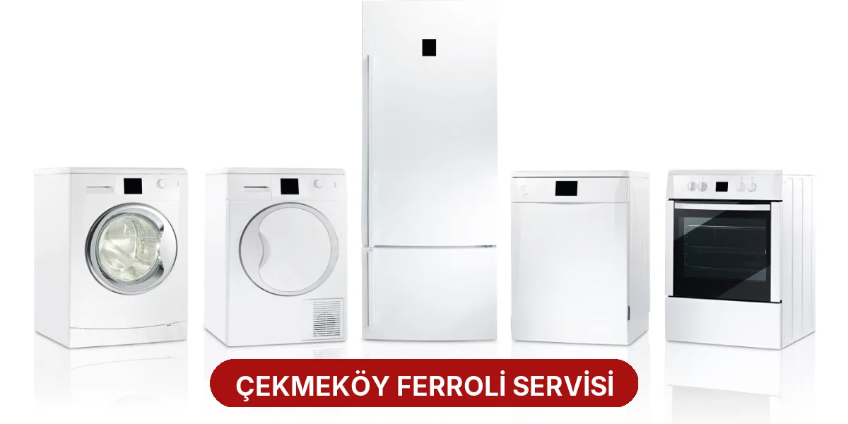 Çekmeköy Ferroli Servisi