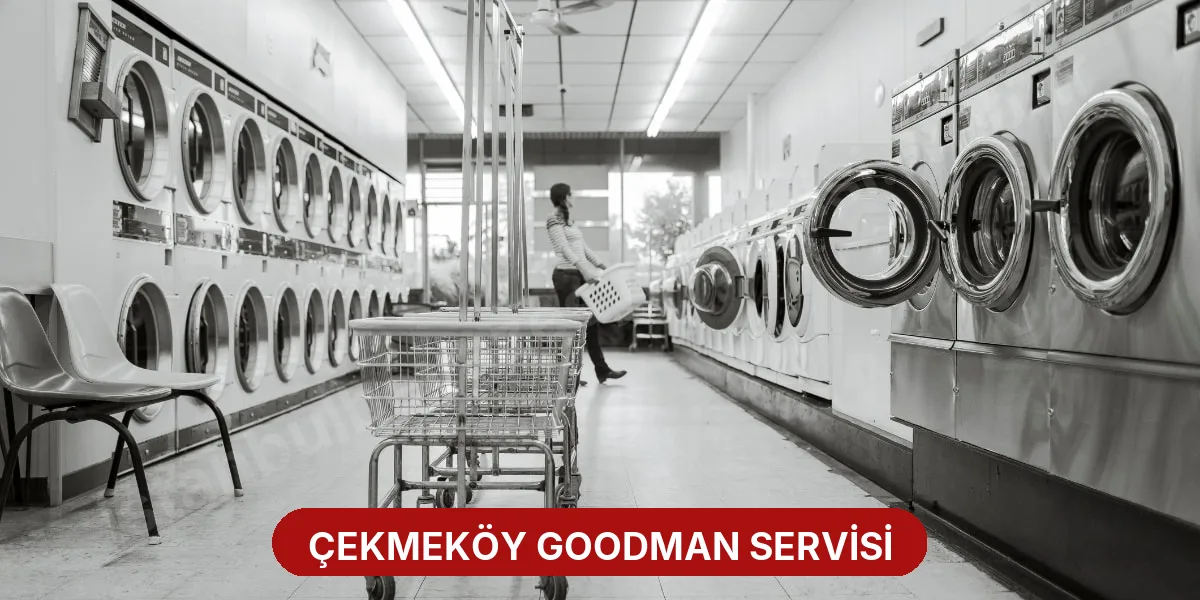 Çekmeköy Goodman Servisi