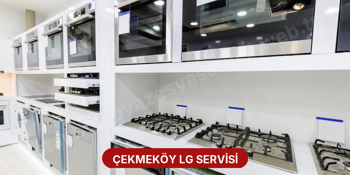 Çekmeköy LG Servisi