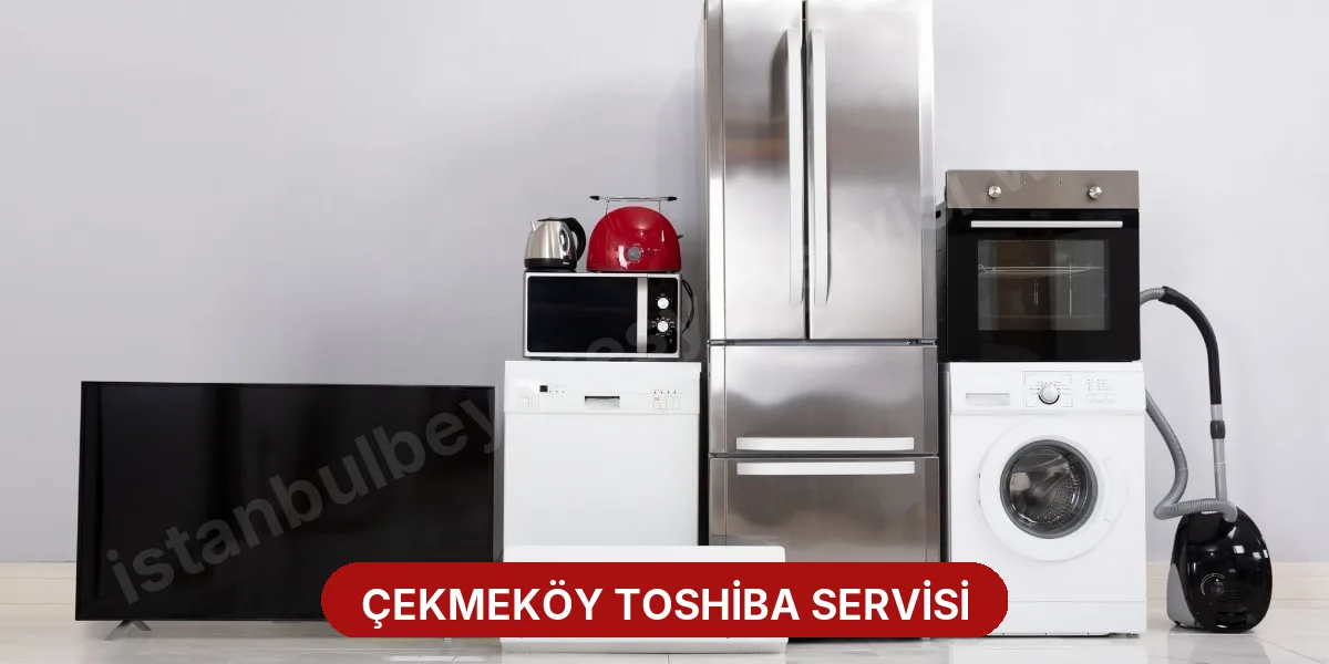 Çekmeköy Toshiba Servisi
