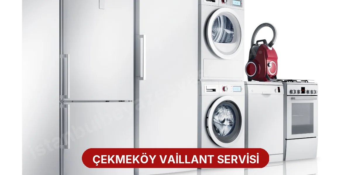 Çekmeköy Vaillant Servisi