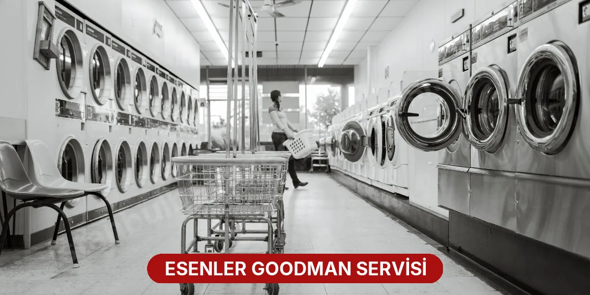 Esenler Goodman Servisi