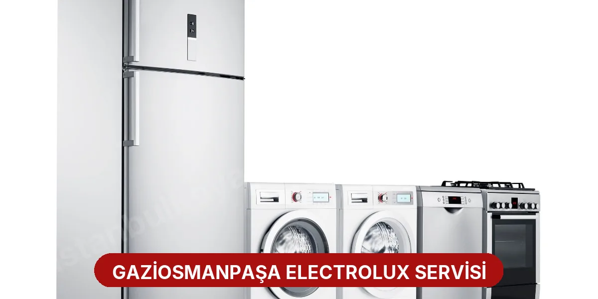 Gaziosmanpaşa Electrolux Servisi