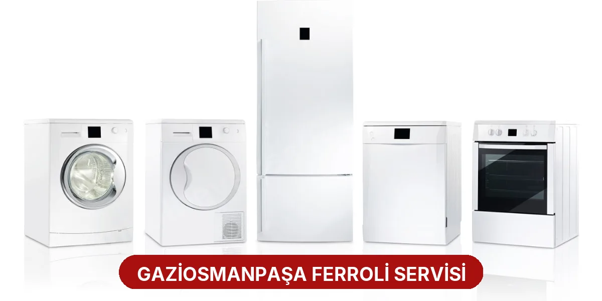 Gaziosmanpaşa Ferroli Servisi