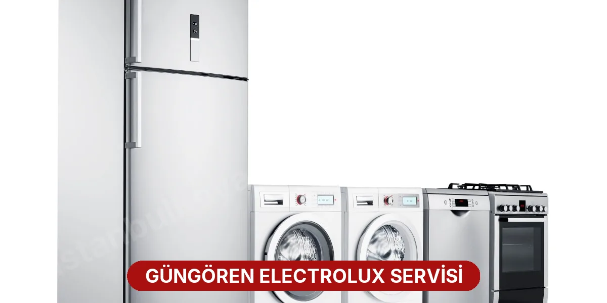 Güngören Electrolux Servisi