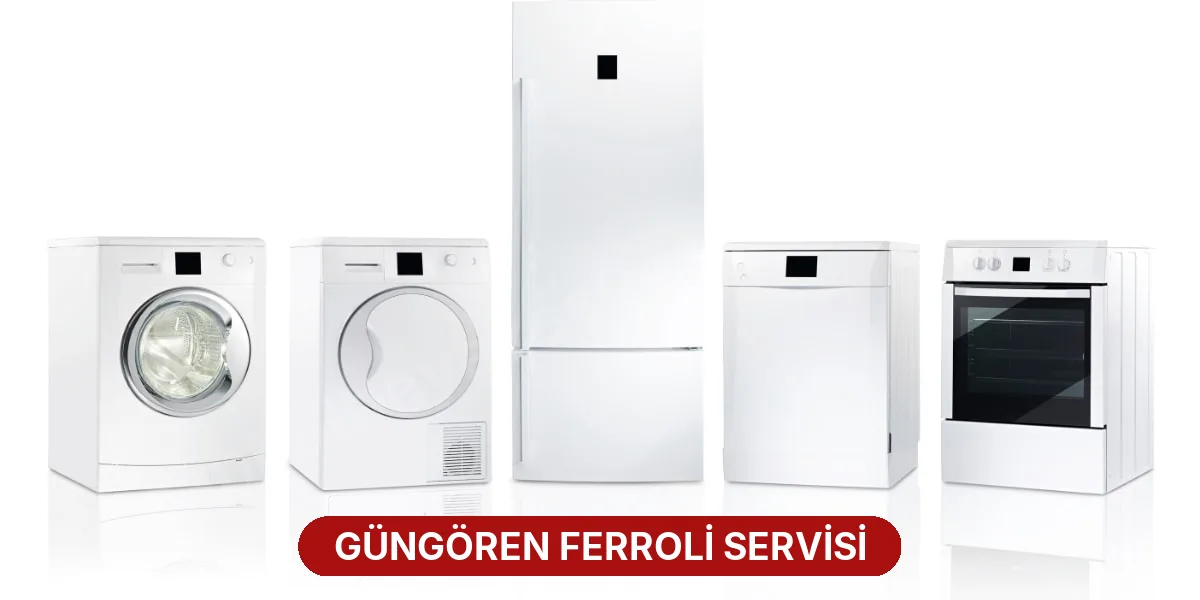Güngören Ferroli Servisi