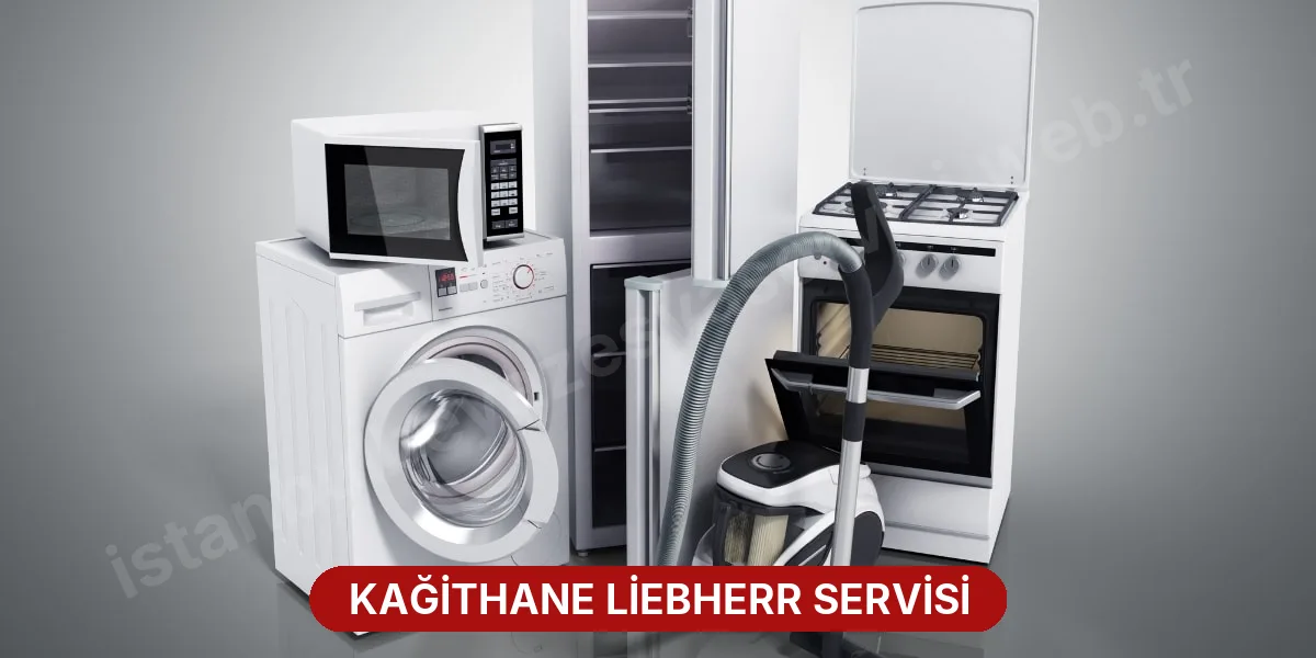 Kağithane Liebherr Servisi