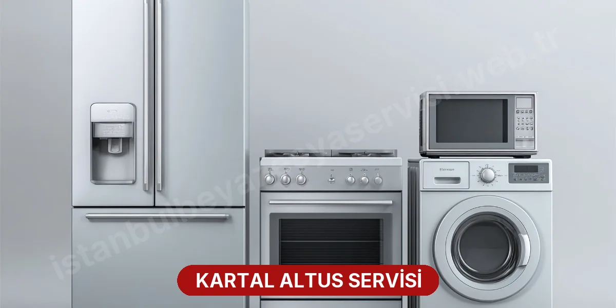 Kartal Altus Servisi