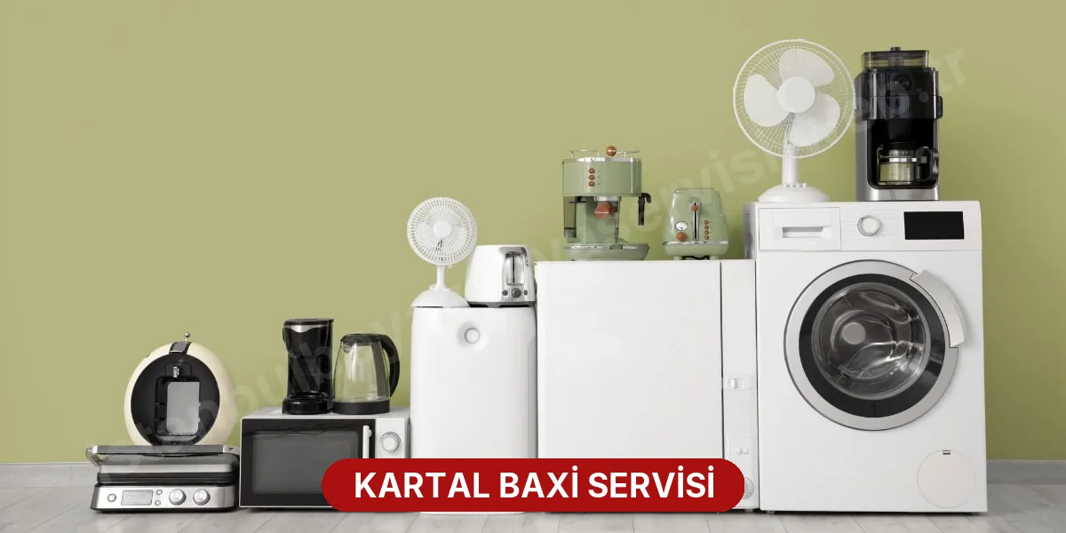 Kartal Baxi Servisi