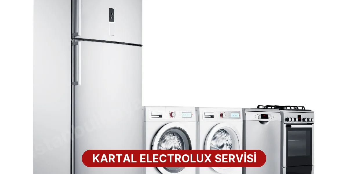 Kartal Electrolux Servisi
