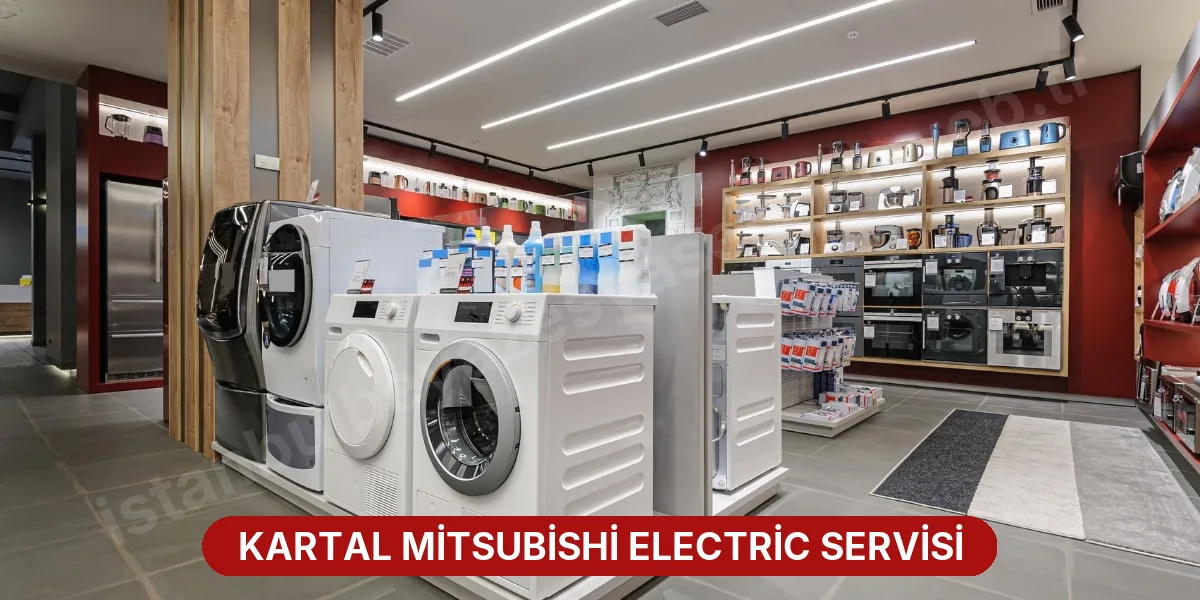 Kartal Mitsubishi Electric Servisi