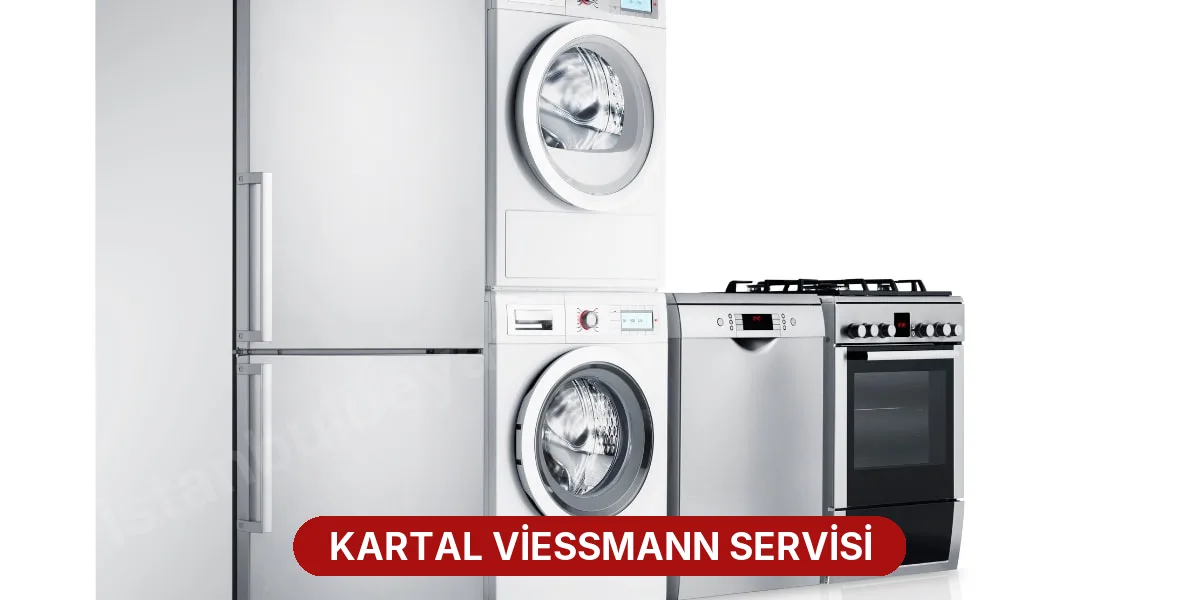 Kartal Viessmann Servisi