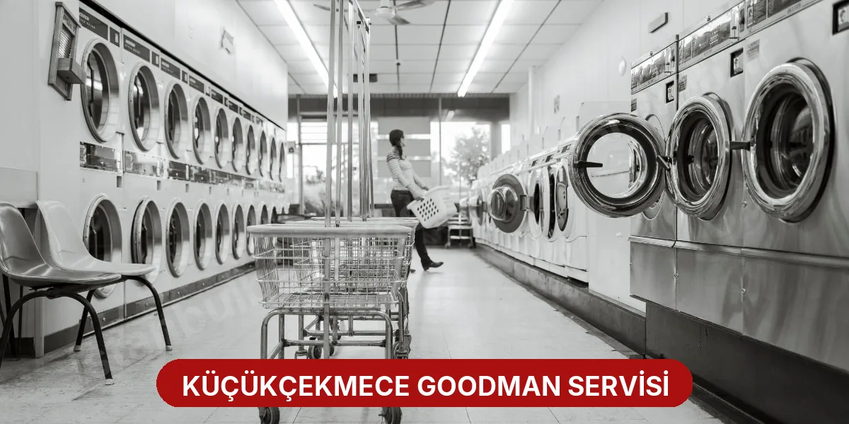 Küçükçekmece Goodman Servisi