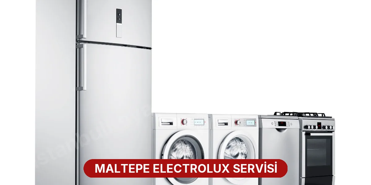Maltepe Electrolux Servisi