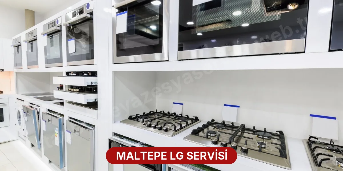 Maltepe LG Servisi