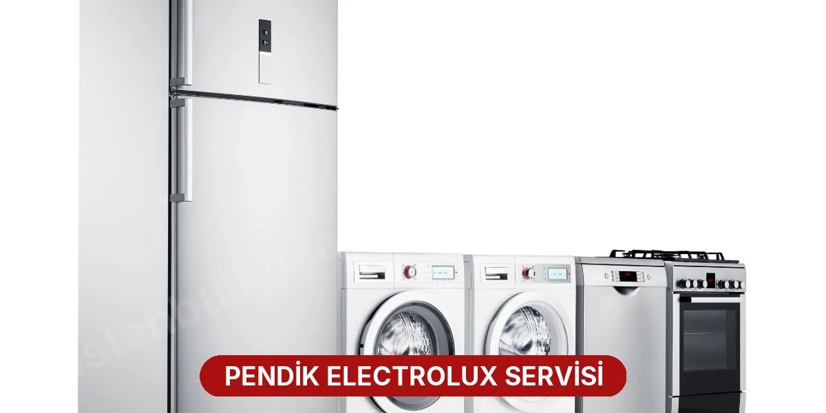 Pendik Electrolux Servisi