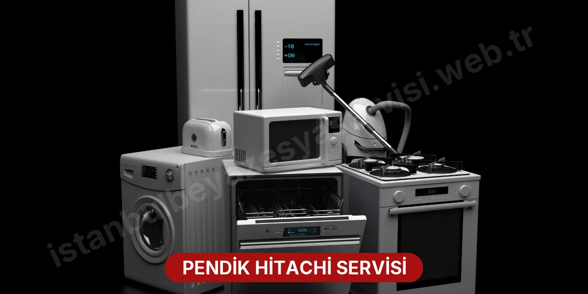 Pendik Hitachi Servisi