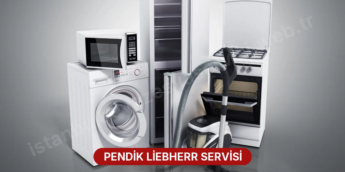 Pendik Liebherr Servisi