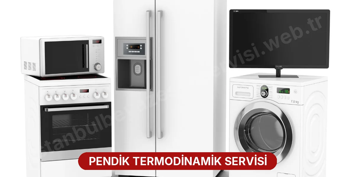 Pendik Termodinamik Servisi
