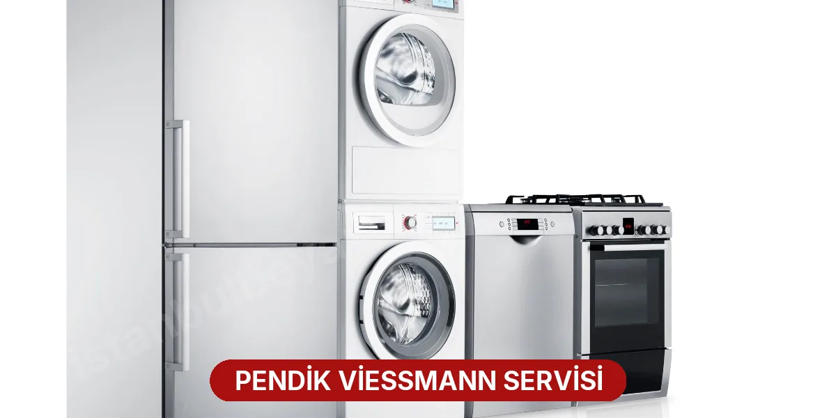 Pendik Viessmann Servisi