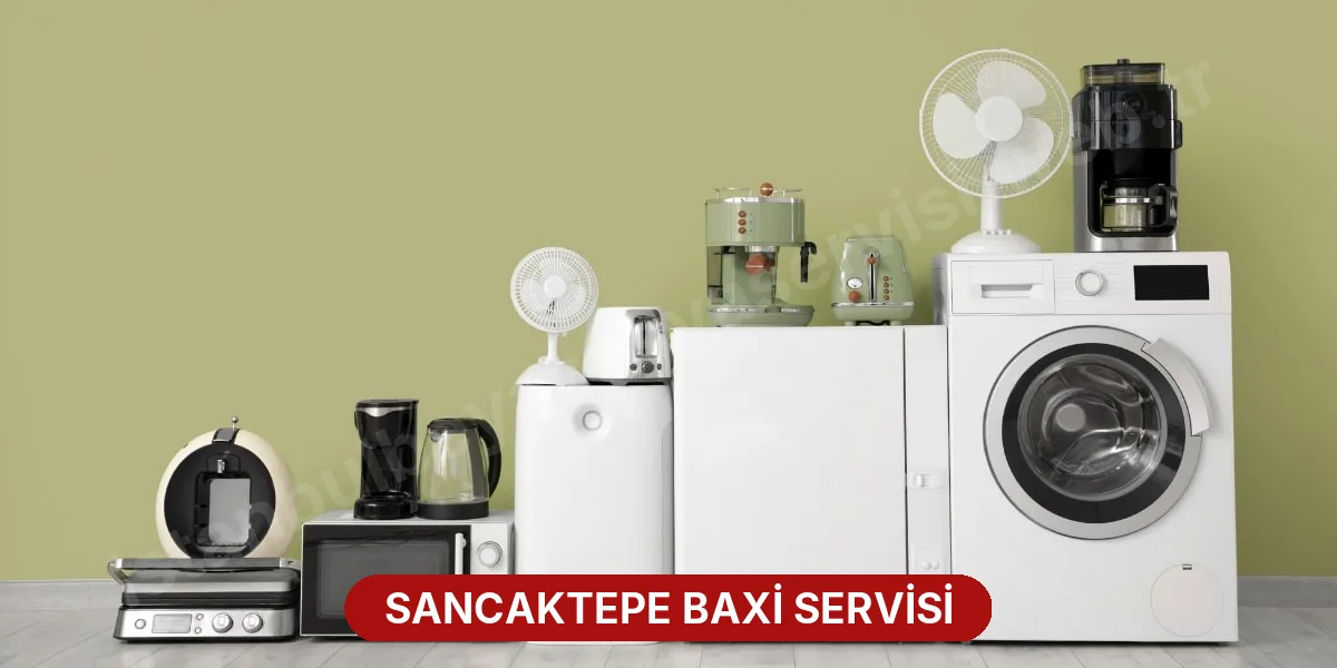 Sancaktepe Baxi Servisi