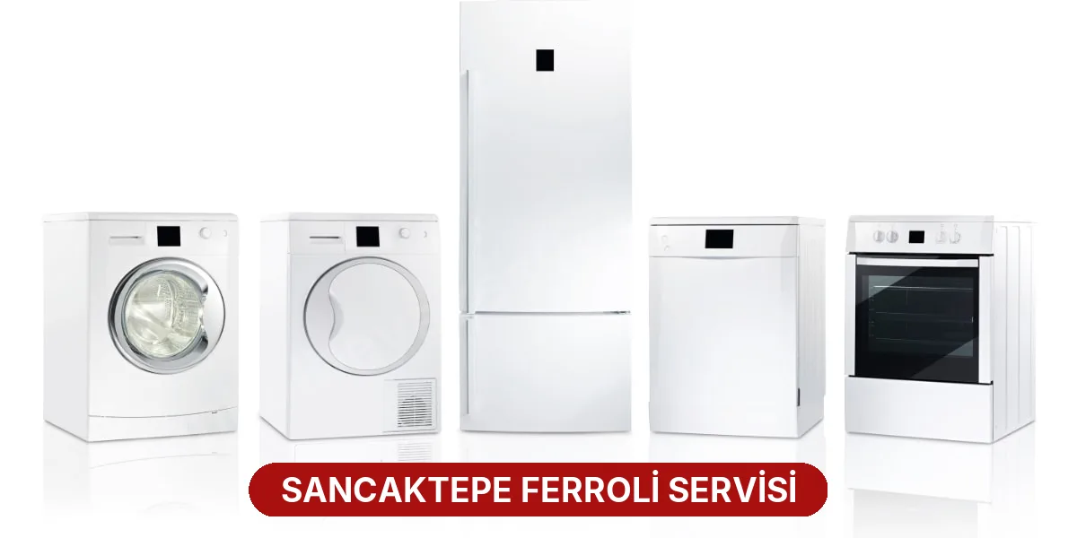 Sancaktepe Ferroli Servisi