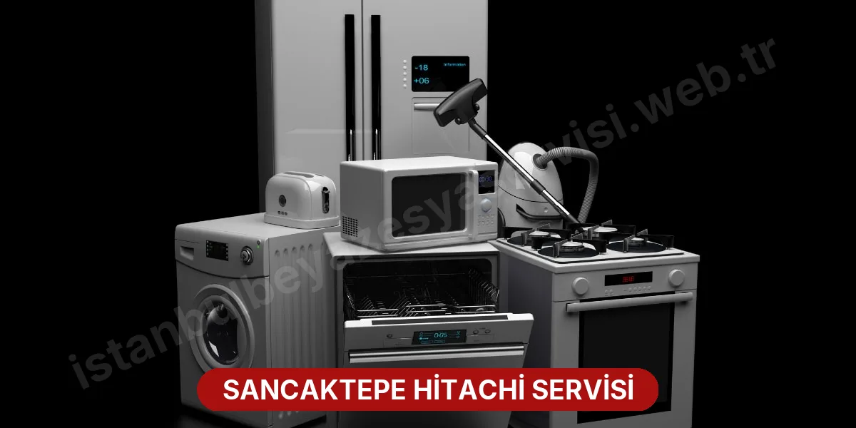 Sancaktepe Hitachi Servisi