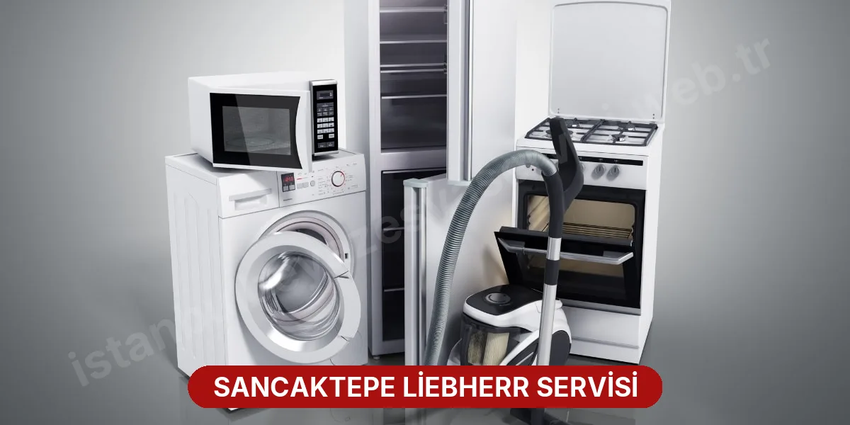 Sancaktepe Liebherr Servisi