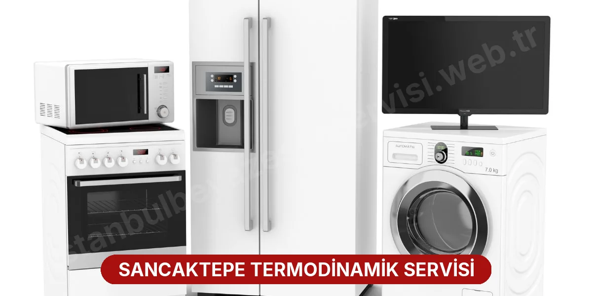 Sancaktepe Termodinamik Servisi