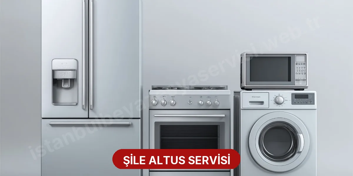 Şile Altus Servisi
