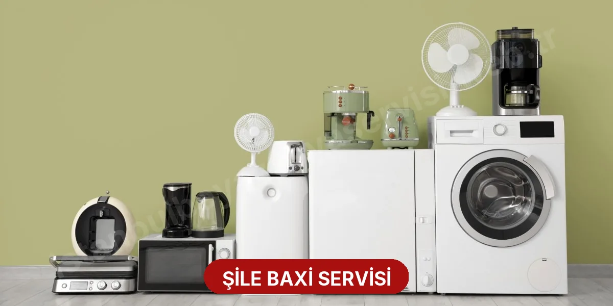 Şile Baxi Servisi