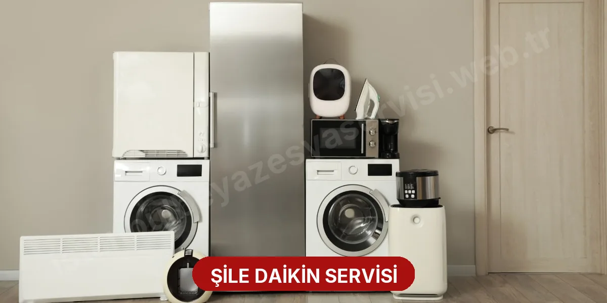 Şile Daikin Servisi