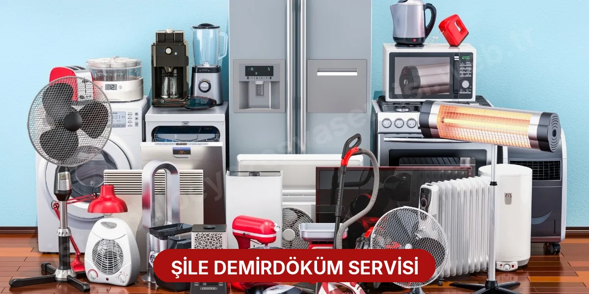 Şile Demirdöküm Servisi