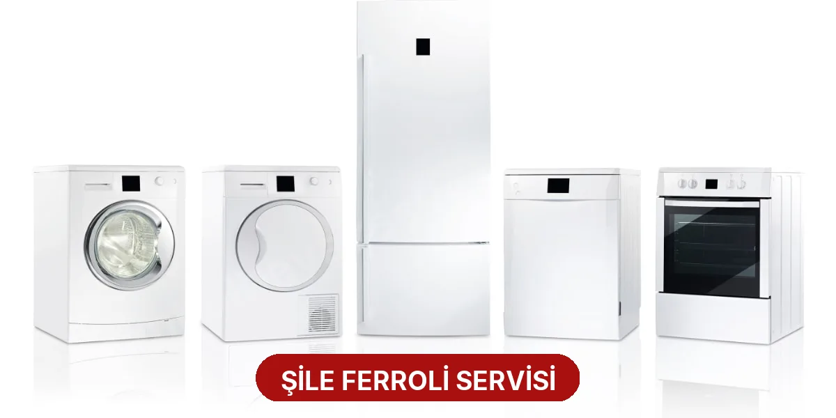 Şile Ferroli Servisi