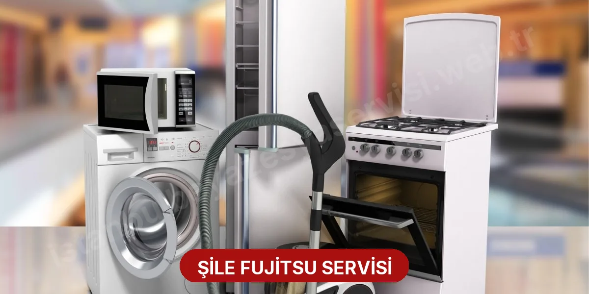 Şile Fujitsu Servisi