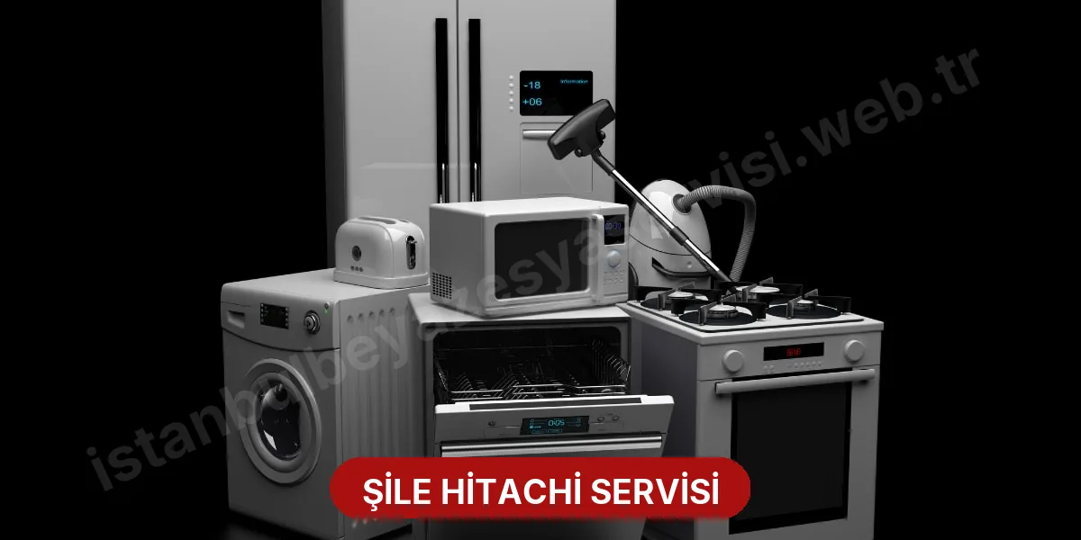 Şile Hitachi Servisi