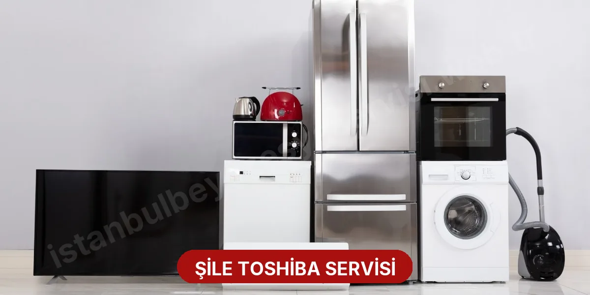 Şile Toshiba Servisi