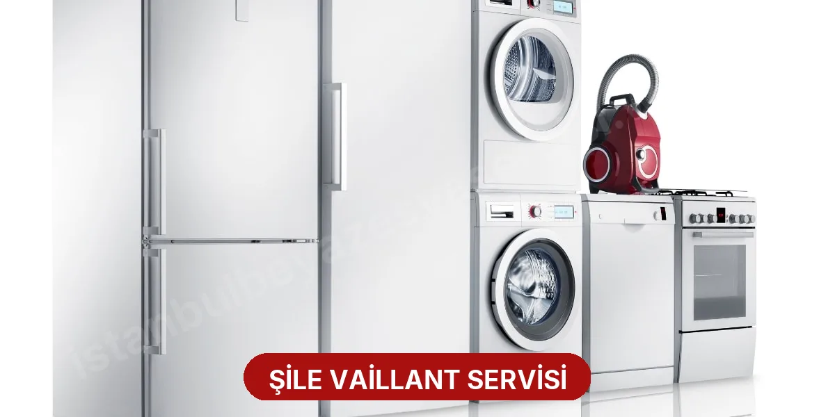 Şile Vaillant Servisi