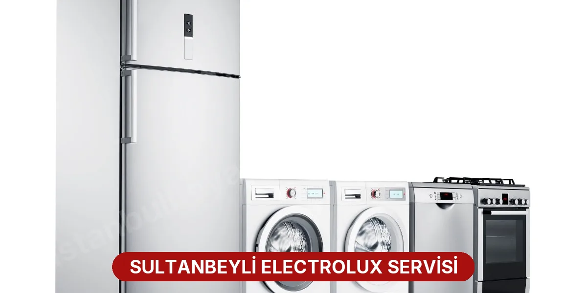 Sultanbeyli Electrolux Servisi