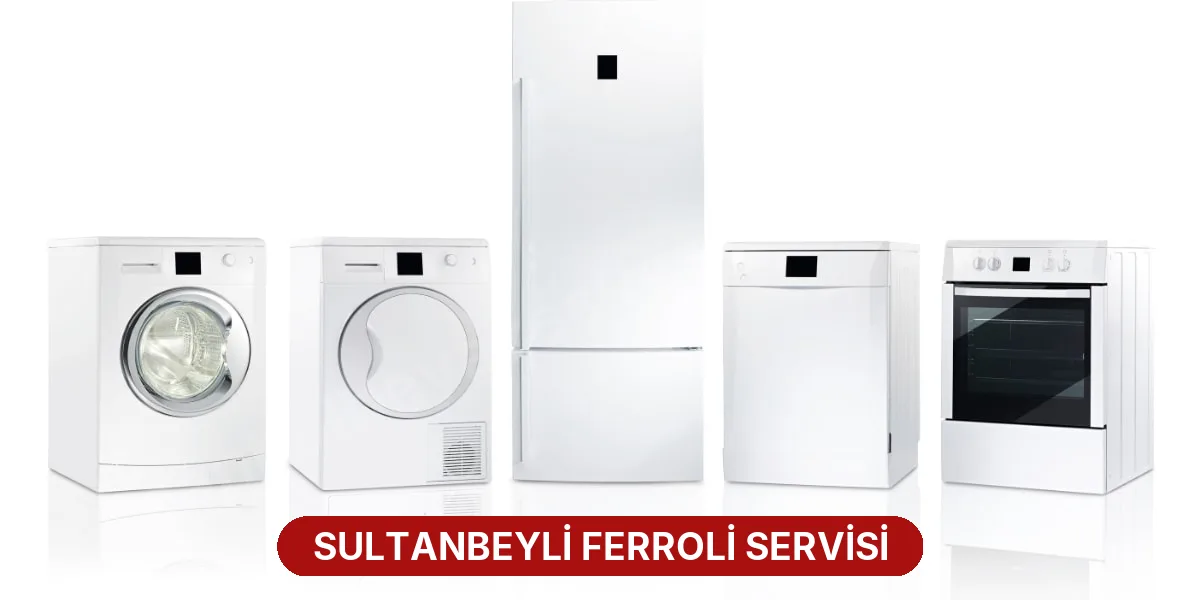 Sultanbeyli Ferroli Servisi