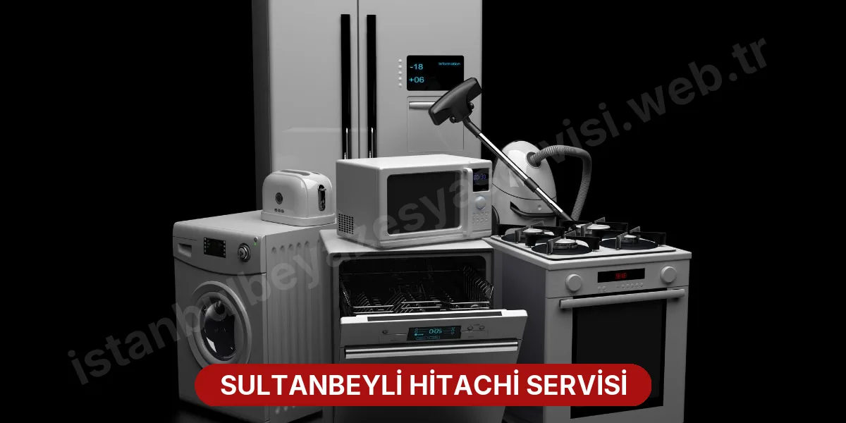 Sultanbeyli Hitachi Servisi